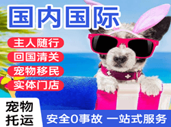 北戴河空运国际宠物托运 【国
